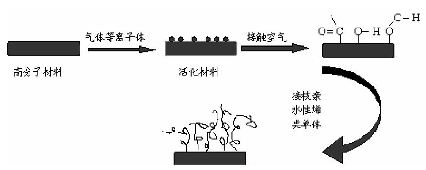 圖 1-1 等離子體引發接枝示意圖