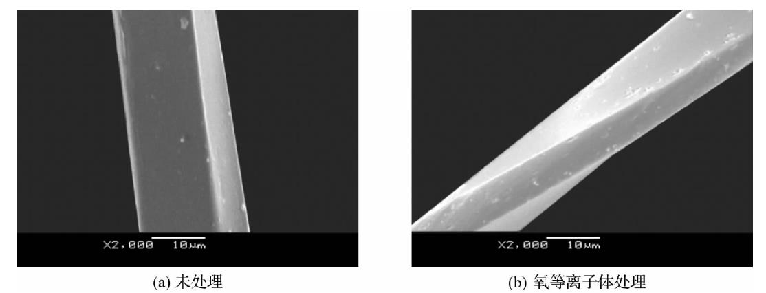 氧等離子體處理前后滌綸纖維表面SEM圖