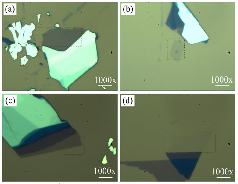 圖 3.3 低溫氧等離子體處理后單層 M o S 2 薄膜的光學(xué)顯微鏡圖。（a）樣品 1 # 的光鏡圖，（b）樣 品 2 # 處理 1 0 s 的光鏡圖，（ c）樣品 3 # 處理 2 0 s 的光鏡圖和（ d）樣品 4 # 處理 4 0 s 的光鏡圖。