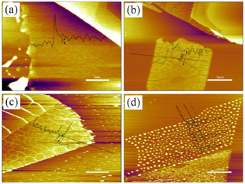 圖 3.5 低溫氧等離子體處理后單層 M o S 2 薄膜形貌圖。（a）樣品 1 # 的厚度~ 1 nm；（ b）樣品 2 # 的厚度~ 5 nm；（ c）樣品 3 # 的厚度~ 3.5 nm；（ d）樣品 4 # 的厚度~ 6 nm。
